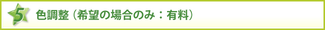 色調整（希望の場合のみ：有料）